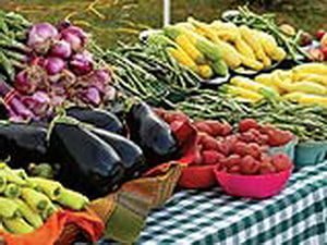 Spring has arrived and the Opening Weekend of the Orangeville Farmer's Market