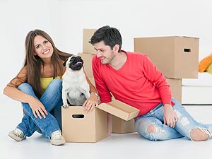 The Best Ways to Settle your Pets into your New Home