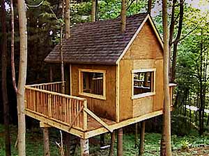 Build the Ultimate Family Tree House with these Easy Steps