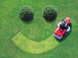 Tips to Prepare your Lawn For Spring