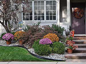 Curb Appeal - Love At First Sight