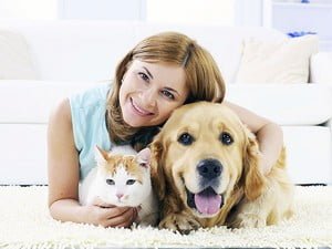 Tips on how to sell a Home in Dufferin County with Pets