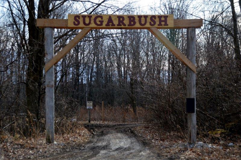 On The Move With Wayne In The Sugar Bush