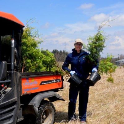 On The Move With Wayne - Rotary Club Tree Planting