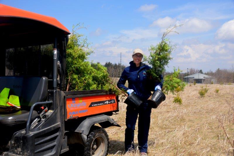 On The Move With Wayne - Rotary Club Tree Planting