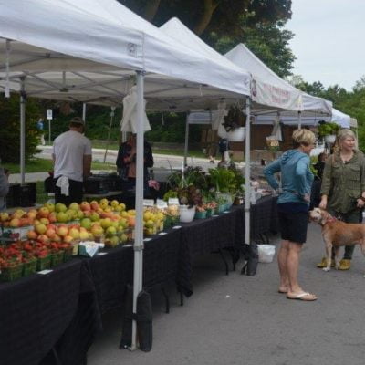 On The Move With Wayne - Orangeville Farmers' Market
