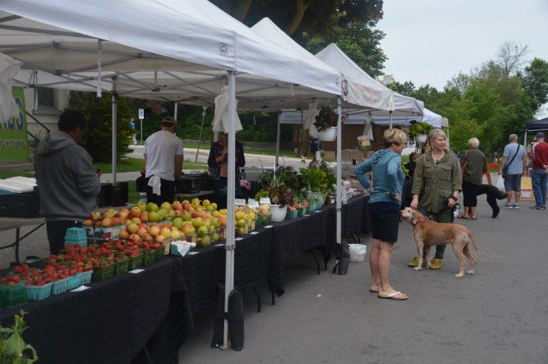 On The Move With Wayne - Orangeville Farmers' Market