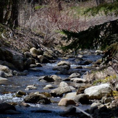 Orangeville’s Five Creeks - Can You Name Them?