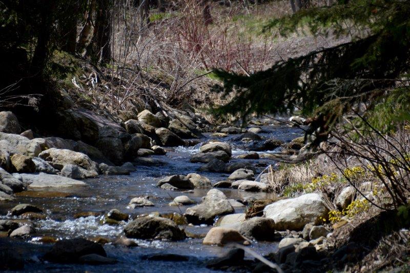 Orangeville’s Five Creeks - Can You Name Them?