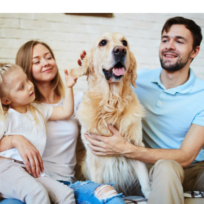 9 Tips to Selling Your Home with Pets
