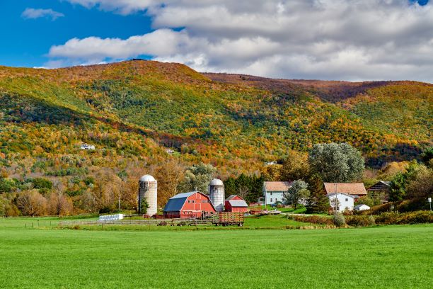 Living in the Country - What You Need to Know - Mullin Group