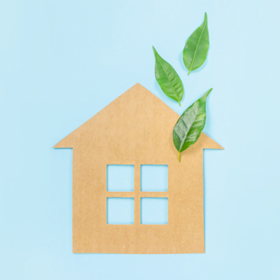 SIMPLE ECO-FRIENDLY UPGRADES FOR YOUR ORANGEVILLE HOME