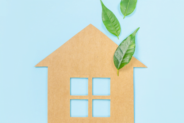 SIMPLE ECO-FRIENDLY UPGRADES FOR YOUR ORANGEVILLE HOME